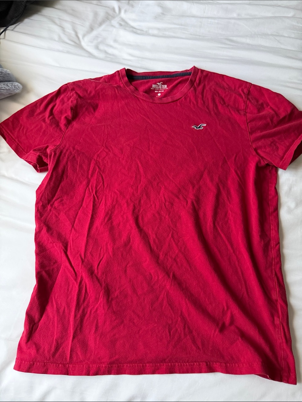 Hollister Men’s Short-Sleeve